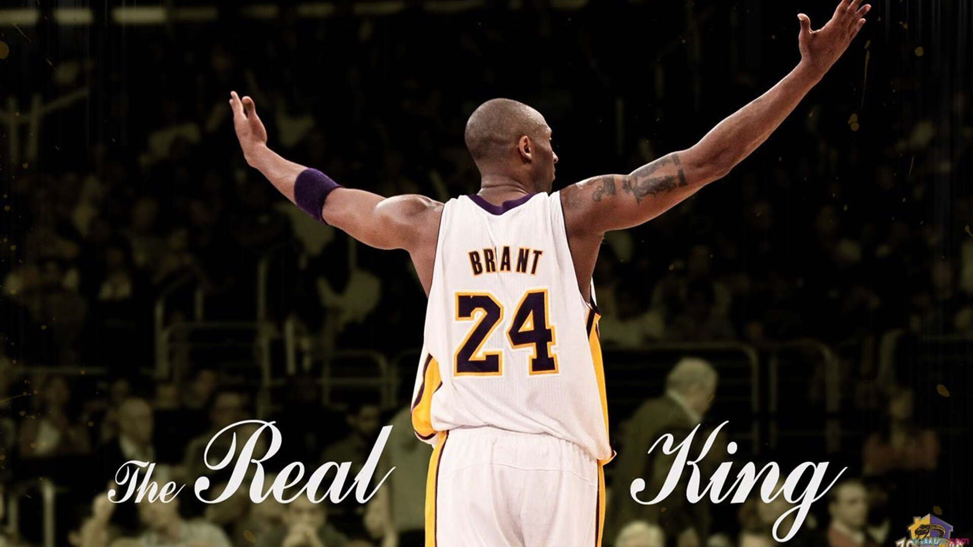 “不眠之夜：季后赛激烈对决回顾”，不眠之夜每场多少人